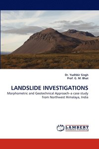 bokomslag Landslide Investigations