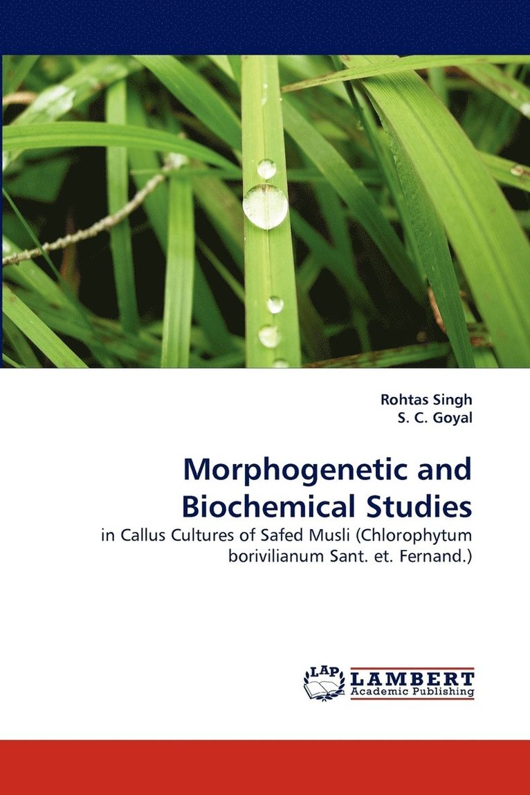 Morphogenetic and Biochemical Studies 1