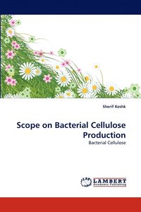 bokomslag Scope on Bacterial Cellulose Production