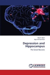 bokomslag Depression and Hippocampus