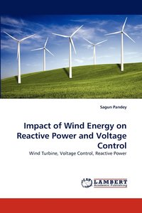 bokomslag Impact of Wind Energy on Reactive Power and Voltage Control