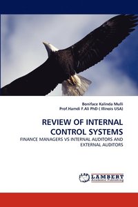 bokomslag Review of Internal Control Systems