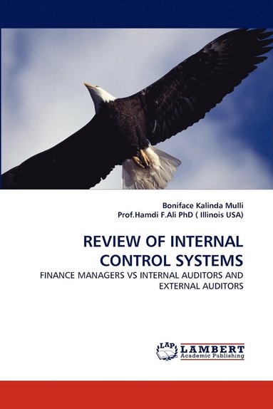 bokomslag Review of Internal Control Systems