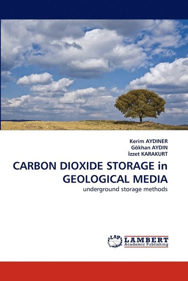 bokomslag Carbon Dioxide Storage in Geological Media