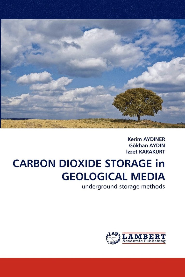 Carbon Dioxide Storage in Geological Media 1