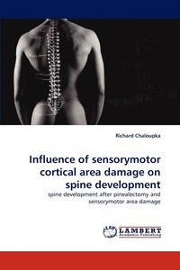 bokomslag Influence of Sensorymotor Cortical Area Damage on Spine Development