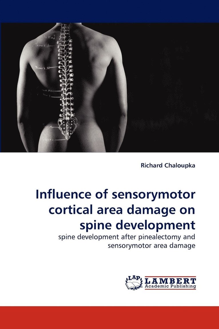 Influence of Sensorymotor Cortical Area Damage on Spine Development 1