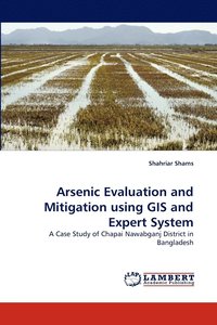 bokomslag Arsenic Evaluation and Mitigation using GIS and Expert System