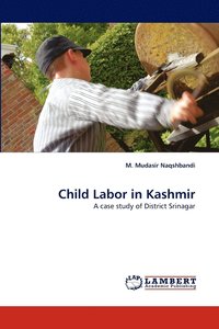 bokomslag Child Labor in Kashmir