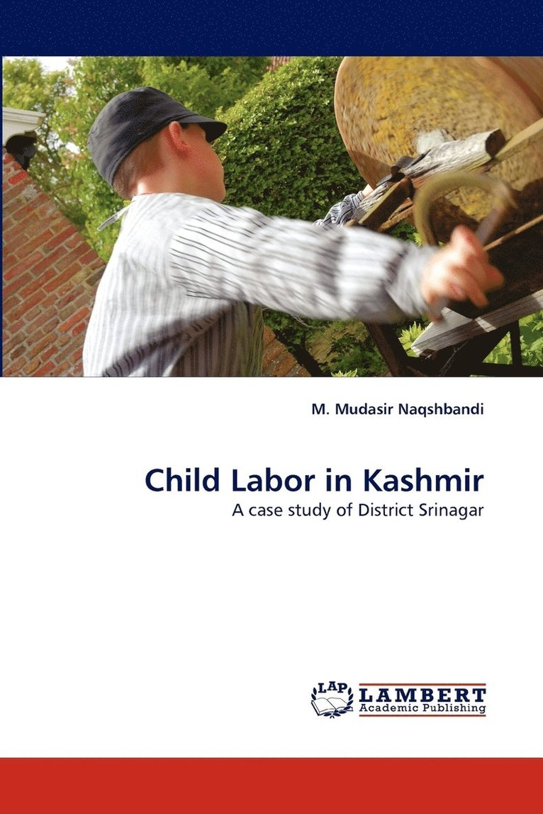 Child Labor in Kashmir 1