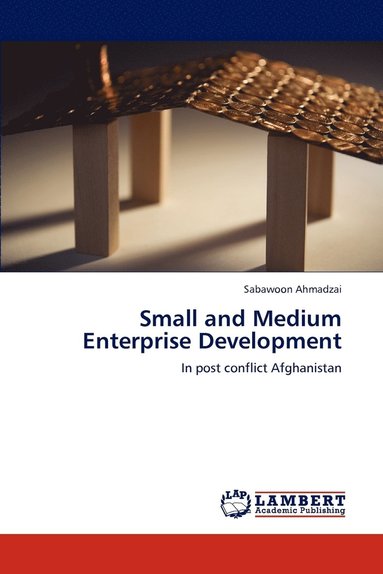 bokomslag Small and Medium Enterprise Development