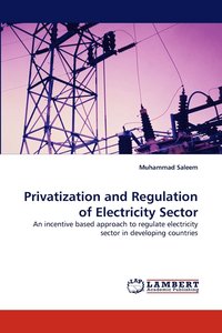 bokomslag Privatization and Regulation of Electricity Sector