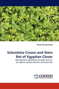 bokomslag Sclerotinia Crown and Stem Rot of Egyptian Clover