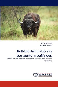 bokomslag Bull-Biostimulation in Postpartum Buffaloes