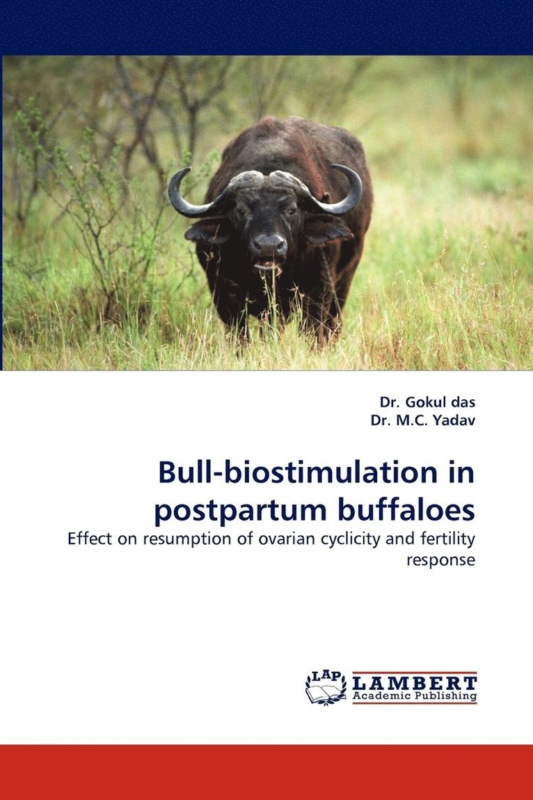 Bull-Biostimulation in Postpartum Buffaloes 1