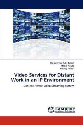 Video Services for Distant Work in an IP Environment 1