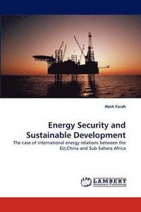 bokomslag Energy Security and Sustainable Development