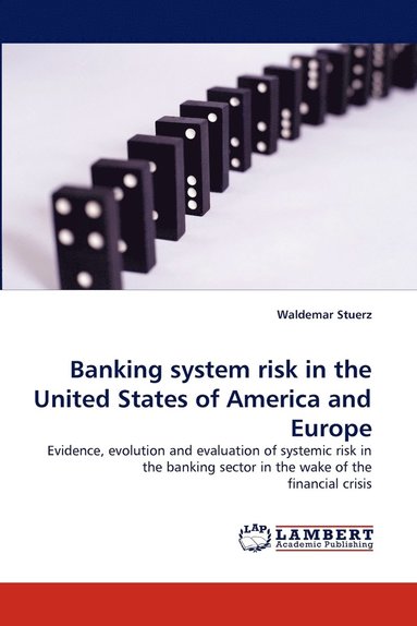 bokomslag Banking system risk in the United States of America and Europe