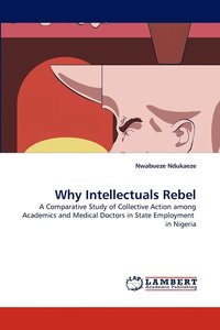 bokomslag Why Intellectuals Rebel