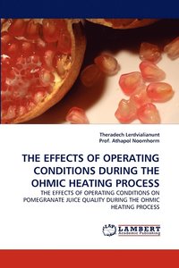 bokomslag The Effects of Operating Conditions During the Ohmic Heating Process