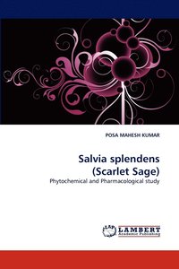 bokomslag Salvia Splendens (Scarlet Sage)
