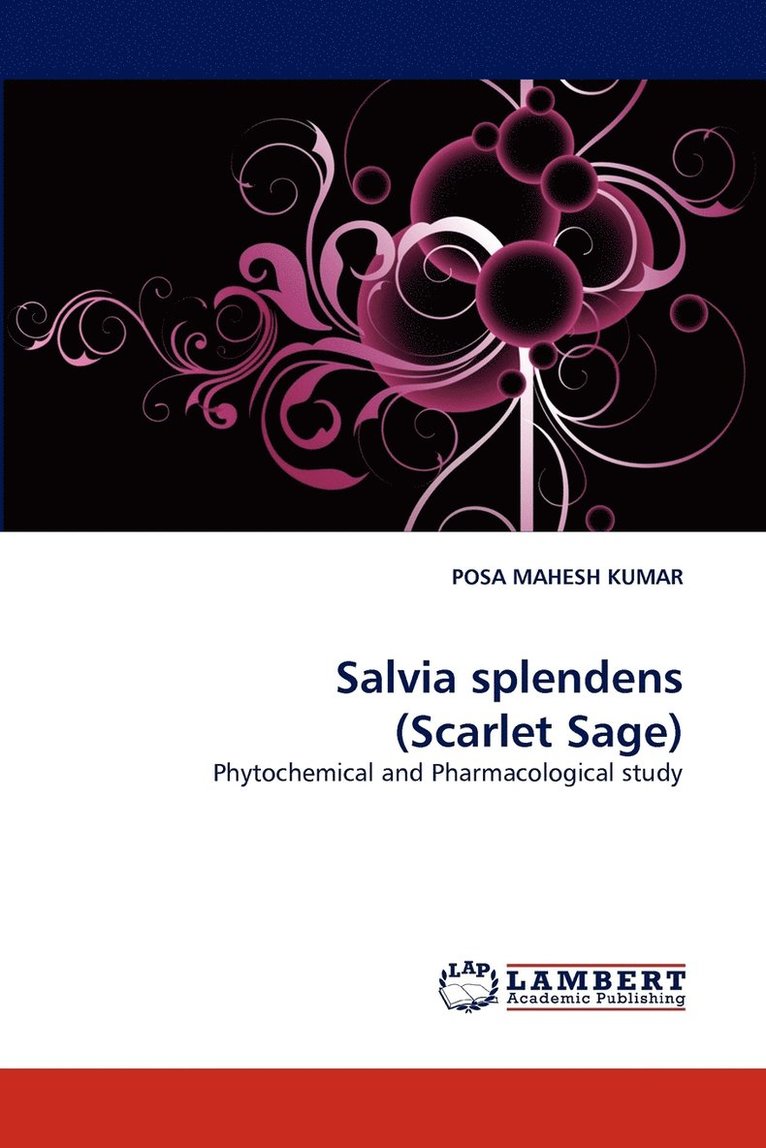 Salvia Splendens (Scarlet Sage) 1