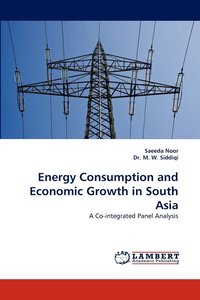 bokomslag Energy Consumption and Economic Growth in South Asia