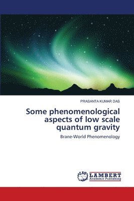 Some phenomenological aspects of low scale quantum gravity 1