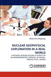 bokomslag Nuclear Geophysical Exploration in a Real World