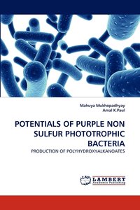 bokomslag Potentials of Purple Non Sulfur Phototrophic Bacteria