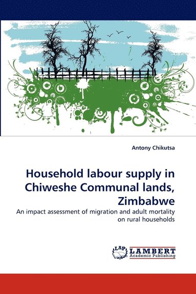 bokomslag Household Labour Supply in Chiweshe Communal Lands, Zimbabwe