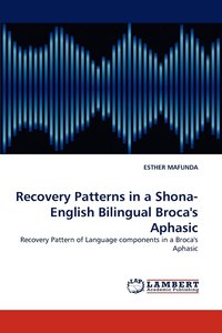 bokomslag Recovery Patterns in a Shona- English Bilingual Broca's Aphasic