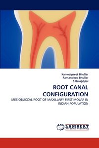 bokomslag Root Canal Configuration
