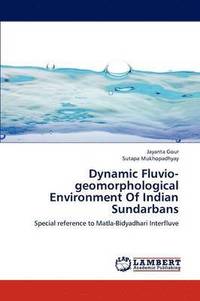 bokomslag Dynamic Fluvio-geomorphological Environment Of Indian Sundarbans