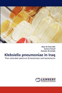 bokomslag Klebsiella Pneumoniae in Iraq