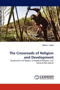 bokomslag The Crossroads of Religion and Development