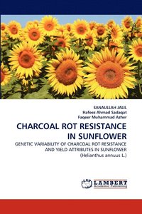 bokomslag Charcoal Rot Resistance in Sunflower