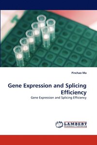 bokomslag Gene Expression and Splicing Efficiency