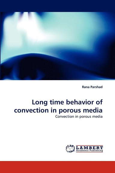 bokomslag Long Time Behavior of Convection in Porous Media