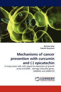 bokomslag Mechanisms of Cancer Prevention with Curcumin and (-) Epicatechin