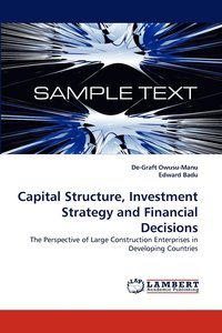 bokomslag Capital Structure, Investment Strategy and Financial Decisions