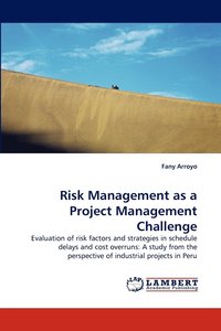 bokomslag Risk Management as a Project Management Challenge