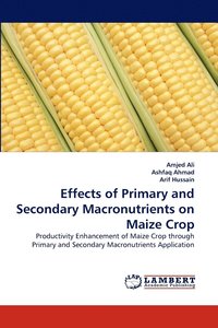 bokomslag Effects of Primary and Secondary Macronutrients on Maize Crop