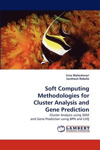 bokomslag Soft Computing Methodologies for Cluster Analysis and Gene Prediction