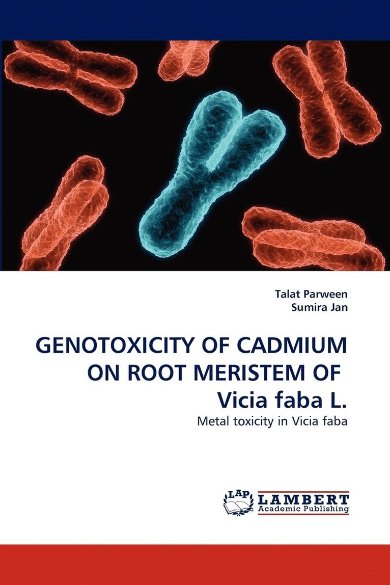 GENOTOXICITY OF CADMIUM ON ROOT MERISTEM OF Vicia faba L. 1