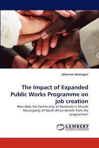 bokomslag The Impact of Expanded Public Works Programme on Job Creation