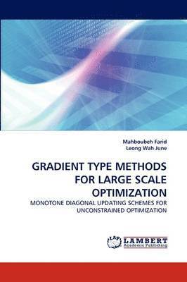 bokomslag Gradient Type Methods for Large Scale Optimization