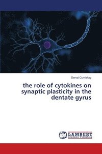 bokomslag The role of cytokines on synaptic plasticity in the dentate gyrus