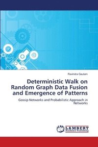bokomslag Deterministic Walk on Random Graph Data Fusion and Emergence of Patterns