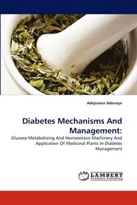 bokomslag Diabetes Mechanisms And Management